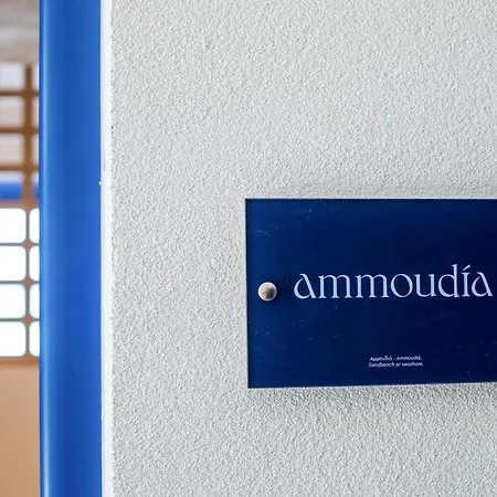 Dimitra Boutique 팔리라키